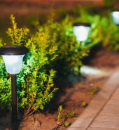 Decorative Small Solar Garden Light, Lanterns In Flower Bed In Green Foliage. Garden Design. Solar Powered Lamps In Row